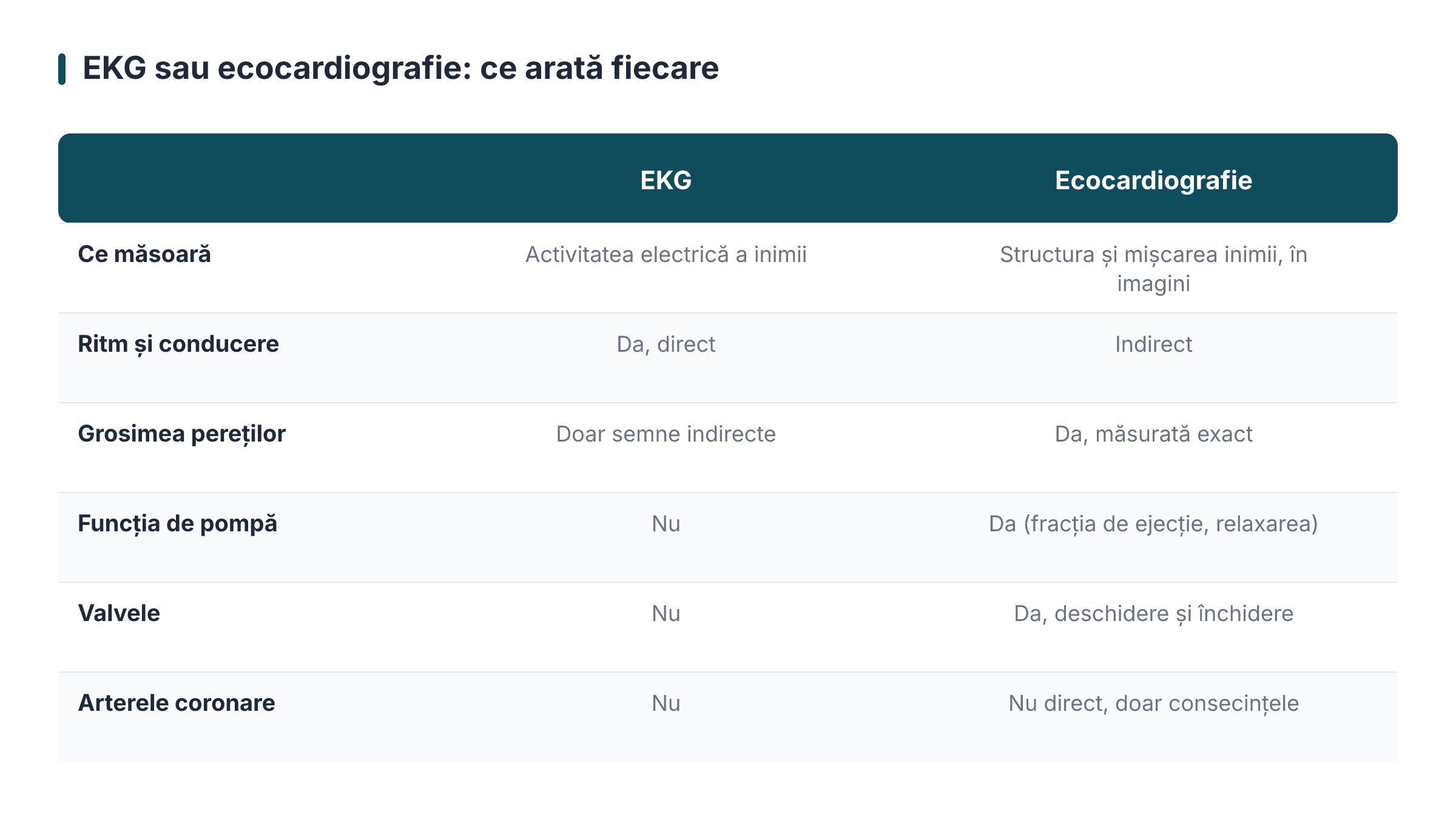 EKG sau ecocardiografie: ce arată fiecare